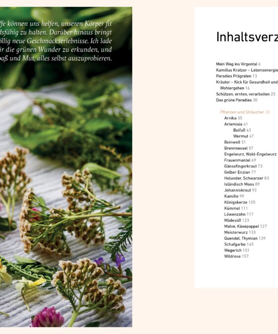 Alternative view of Dort oben sehe ich euch wachsen