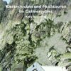 Kletterrouten und Hochtouren im Gelmergebiet