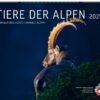 Kalender Tiere der Alpen 2025