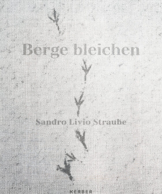 Berge bleichen - Whitening Heights