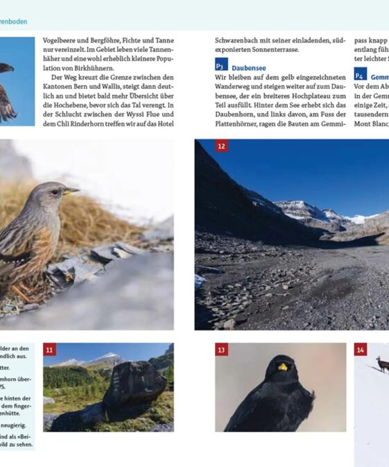 Alternative view of An wilden Wassern und stillen Ufern