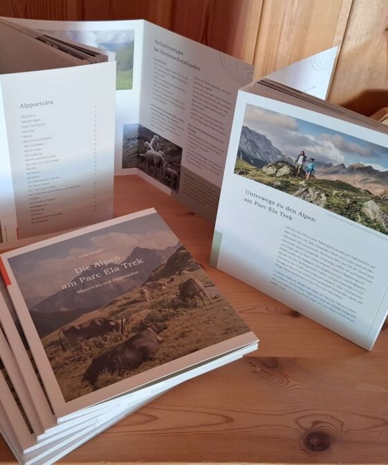 Alternative view of Die Alpen am Parc Ela Trek