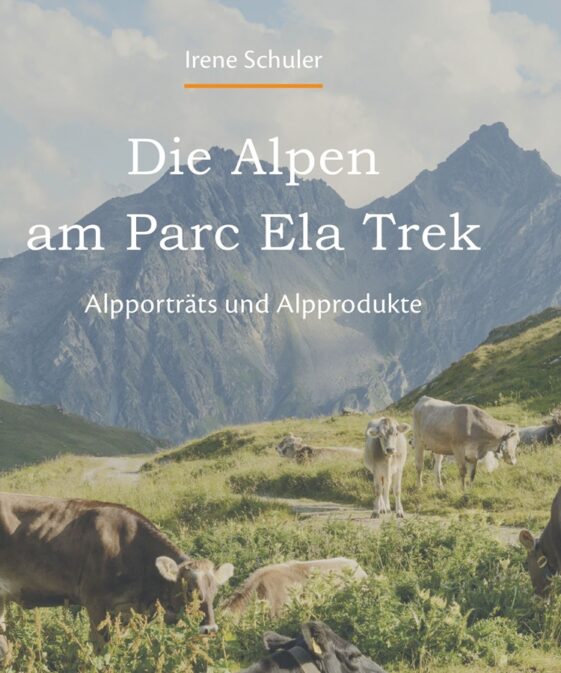 Die Alpen am Parc Ela Trek