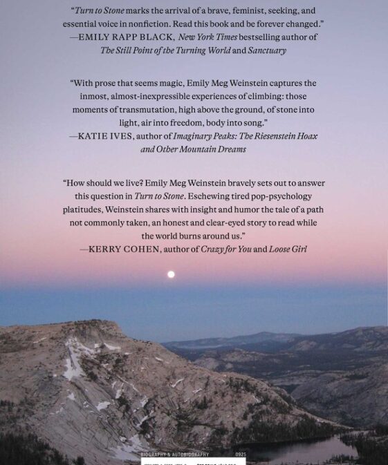 Alternative view of Turn to Stone: A Memoir