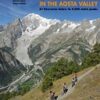 MOUNTAIN BIKING IN THE AOSTA VALLEY