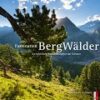 Faszination Bergwälder